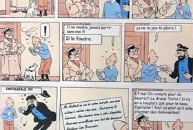 emeis leon braconnier mille