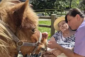 emeis lemeraude poney
