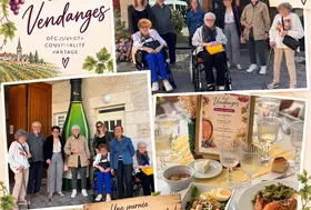 emeis résidence de l'isle vendanges