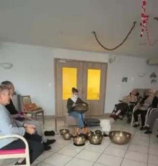 emeis ariane sono