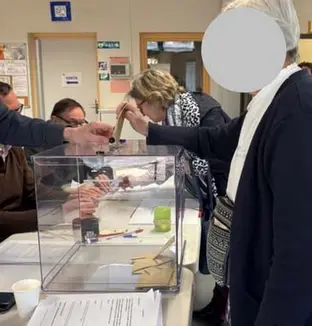 emeis fontaine vote