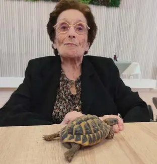 emeis jardins grasse tortues