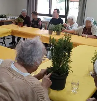 emeis jardins escudie troc
