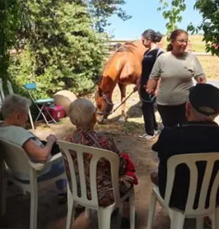 emeis serianes sortie
