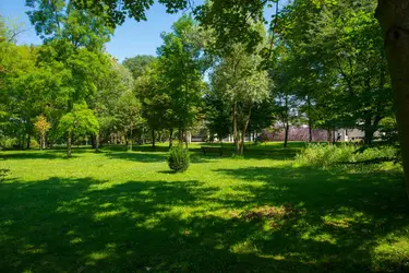 psy clinique de l isle jardin crosne