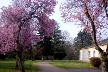 clinique du haut cluzeau chasseneuil en berry 03