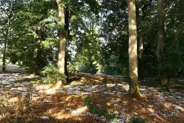 clinique psychiatrique du haut cluzeau chasseneuil 2