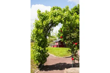 maison de retraite bellevue jardin